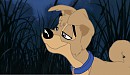angel and scamp pup design