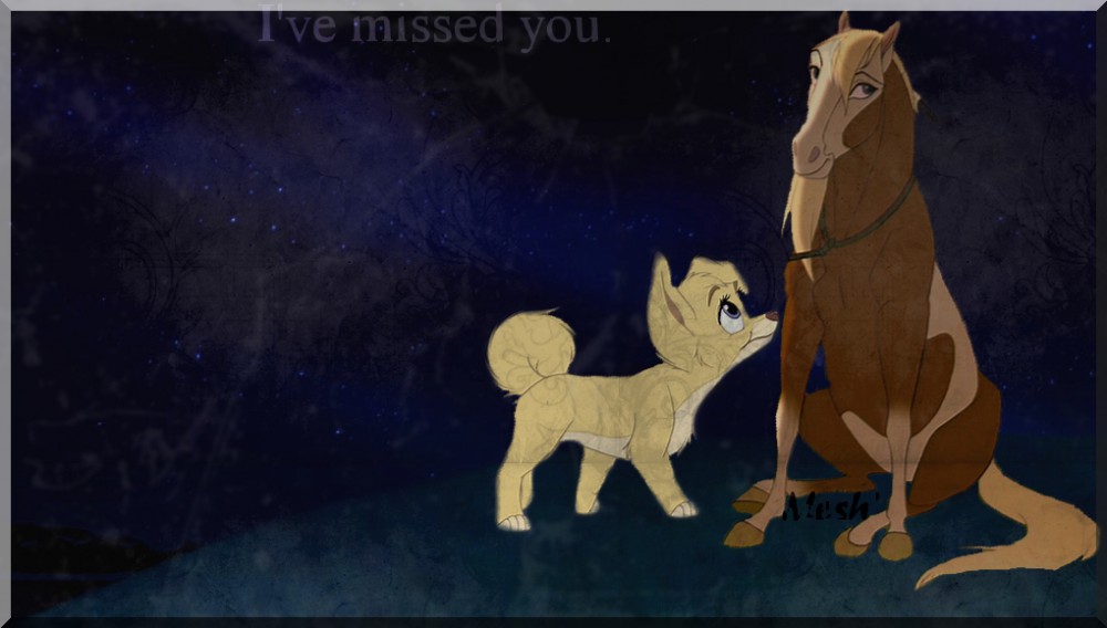 Looking at the stars with you. ♦ For Nakou