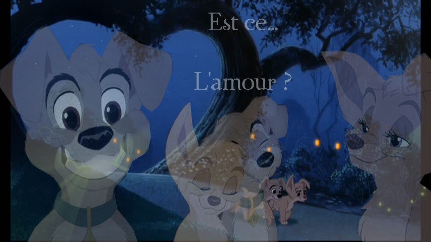 Est ce l'amour ?