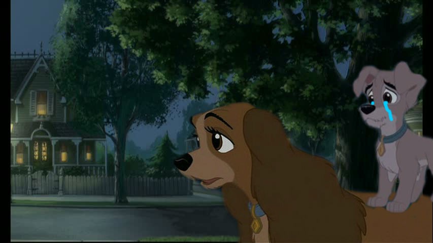 Lost!