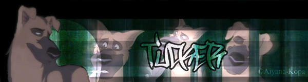 Tucker Signature