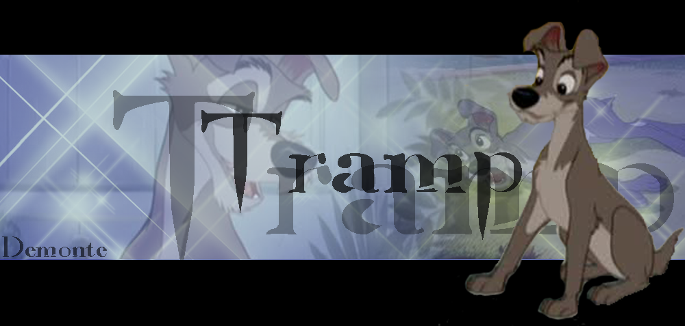 Tramp Signature