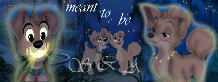 Meant to be