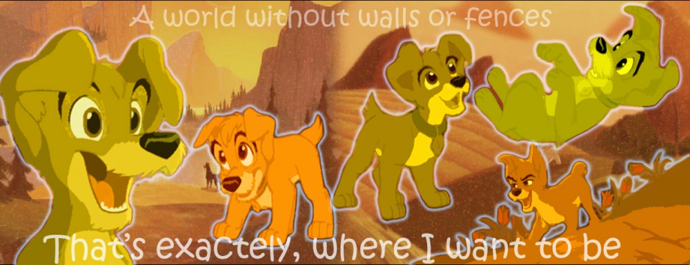 A World Witout Fences