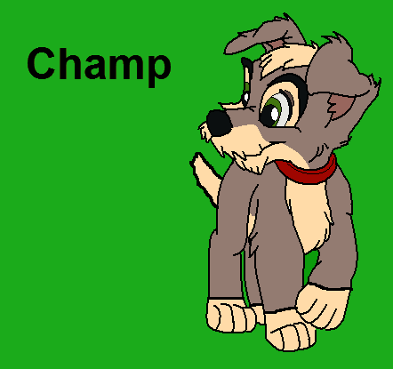New Design