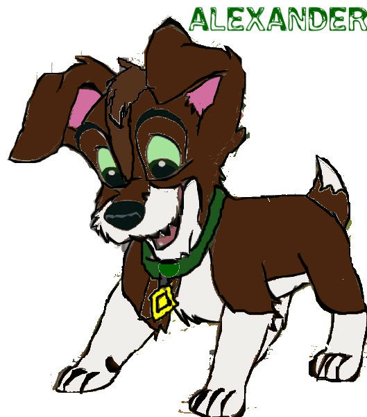 Adoptable Tryout