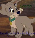 Scamp Avatar!