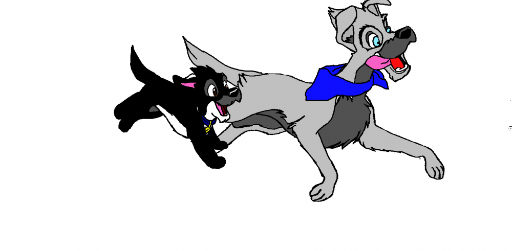 We are the wild dogs!:3