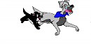 We are the wild dogs!:3