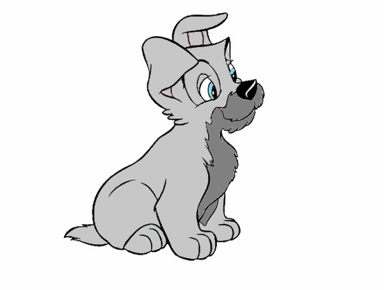Cash Puppy