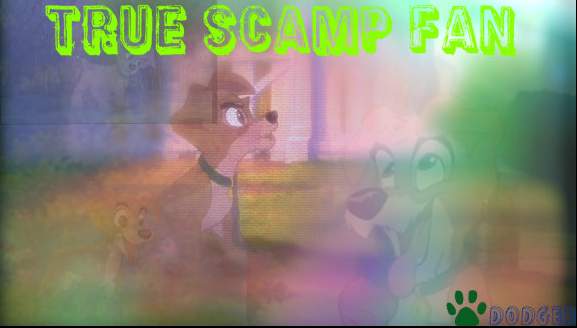 Scamp Collage