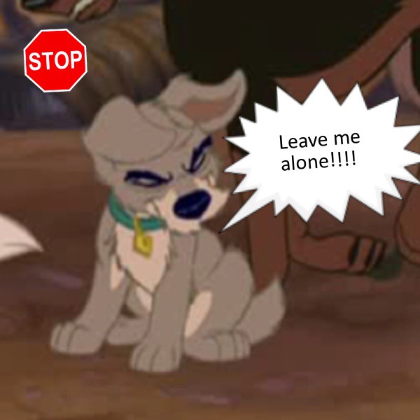 Someone's mad :angry: