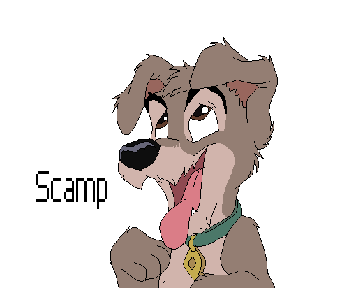 Scamp