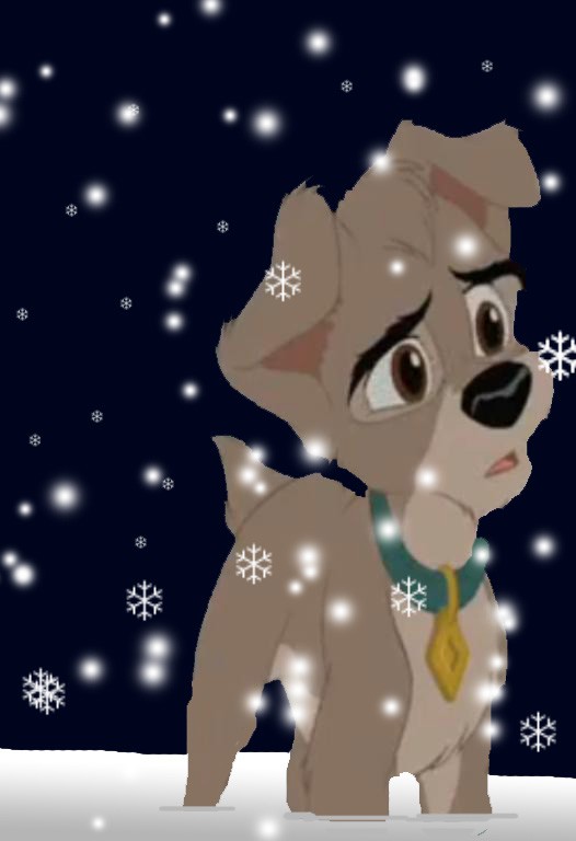 What, Oh What, Is A Snowflake?