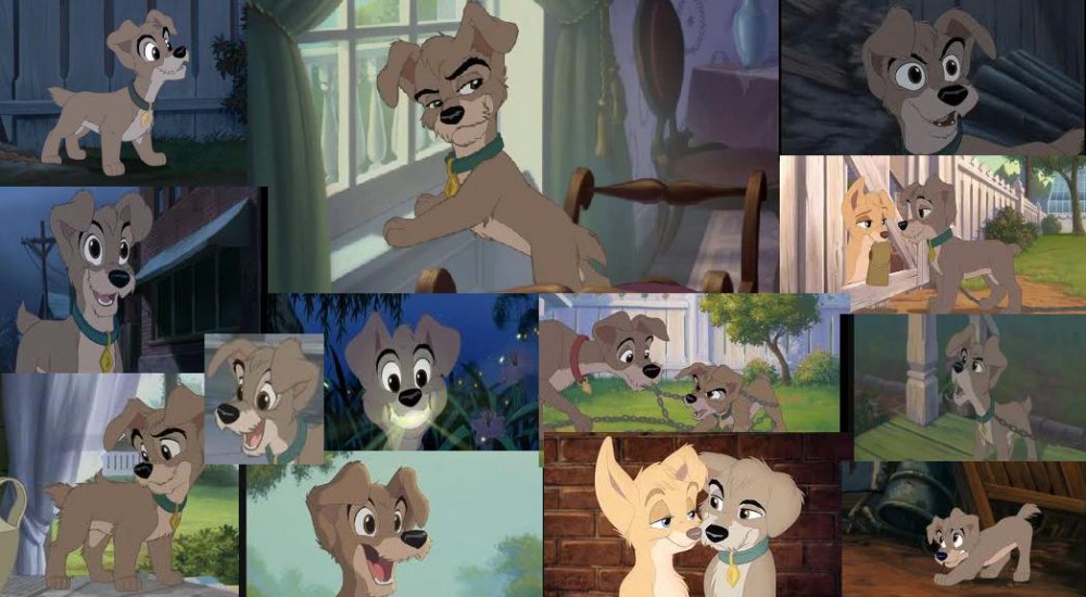 Scamp Collage