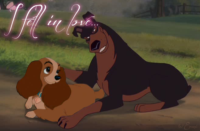 Nous