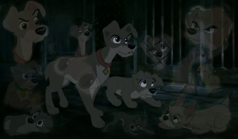 - Like Father, like Son -