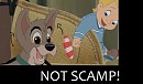 Not scamp on the movie!
