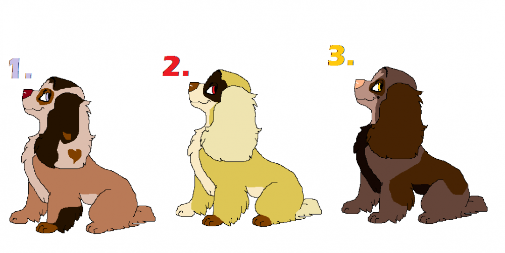 Females Adoptables !