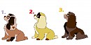 Females Adoptables !