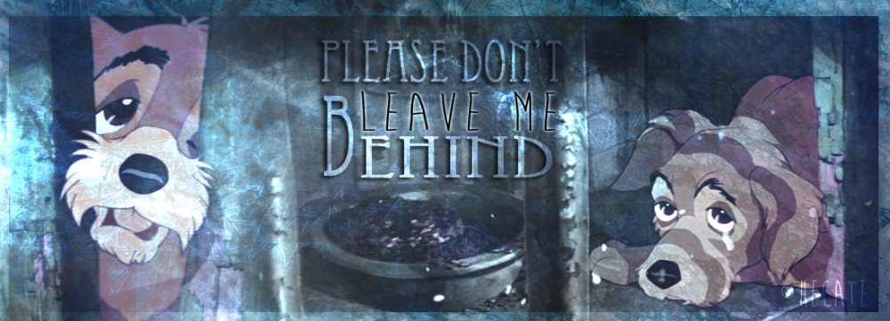 Don't leave me behind
