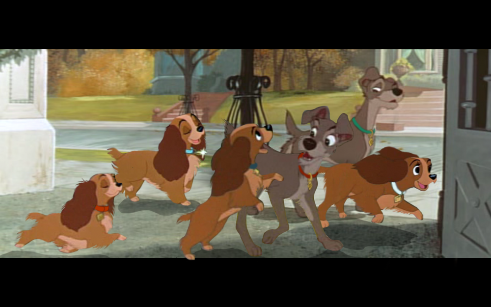 Family walk