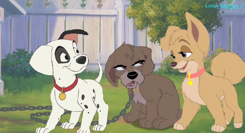 Bad doggy