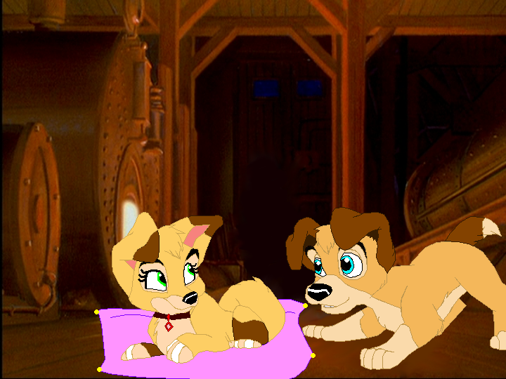 In the boilare room