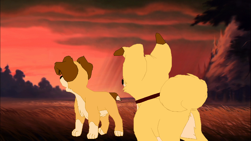 The journey(part 3)