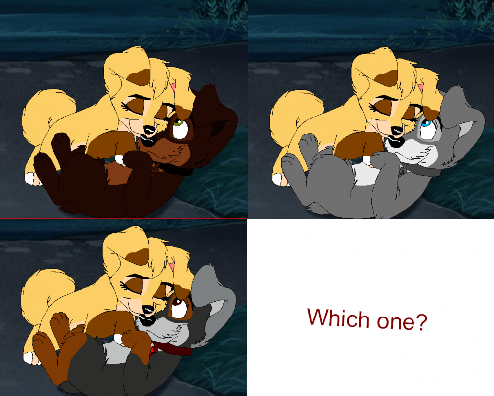 Kodella,Diella or Tylella?