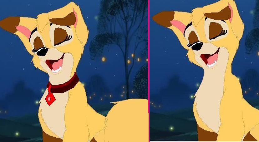 With or without collar?