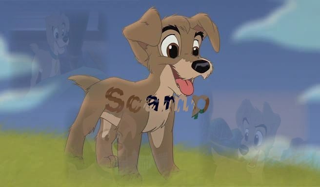 Scamp Image