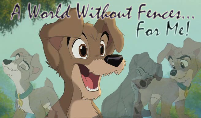 A World Without Fences