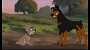  Lemme Tell Ya' Somethin About Buster 