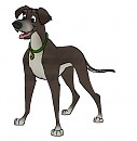 Great Irish Wolfhound Character