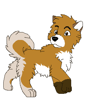 Puppy Bruce