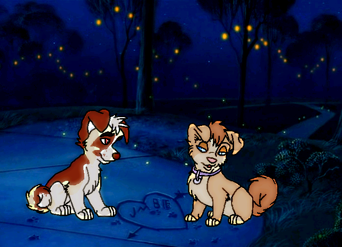 The Street Mutt and the Housepet