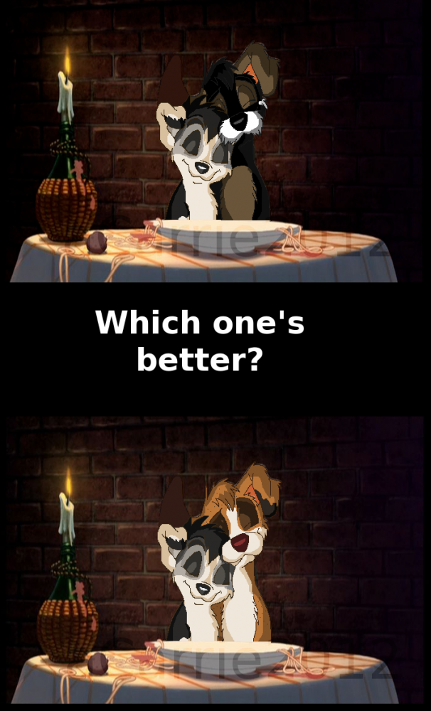 Which One's Better?