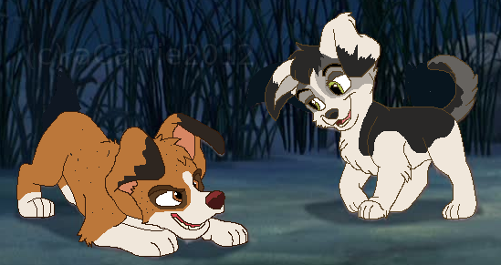 Iggy and Spencer Playing