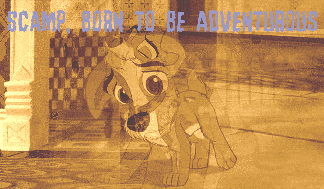 Scamp, born to be adventurous