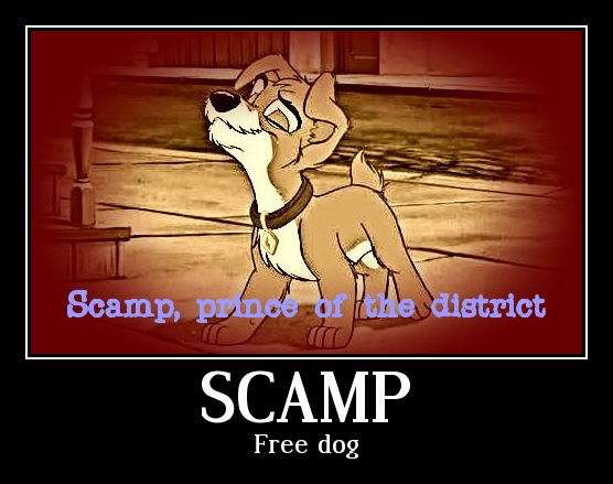 Scamp, prince of the district and free dog