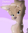 Cadeau pour Nakou