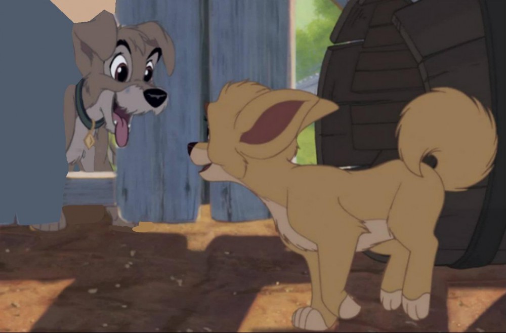 cute love