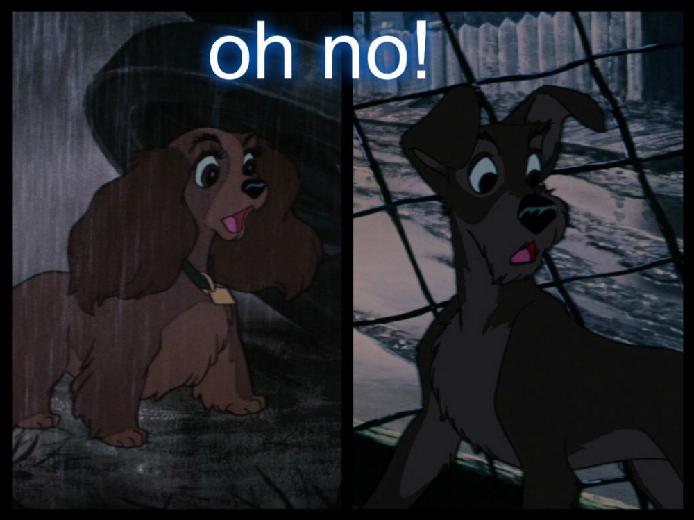 both -- oh no!