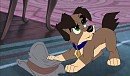 this is a what if her was a dog.