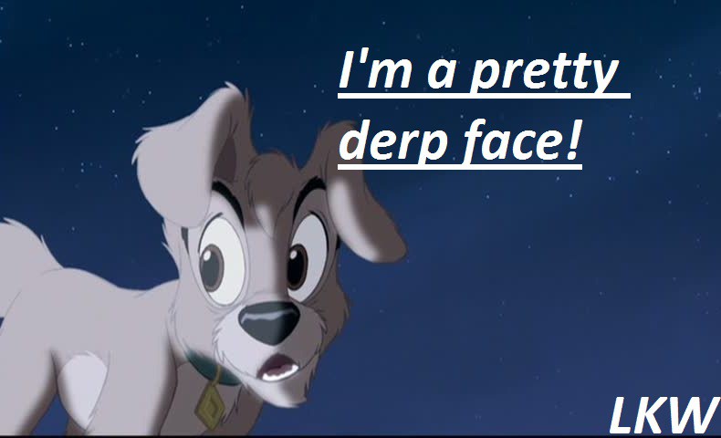 I'm a pretty derp face!