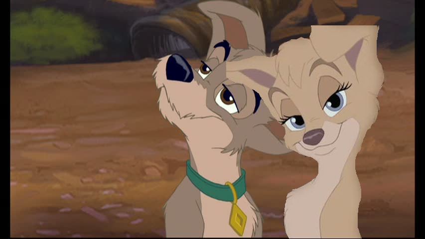 The new cool couple