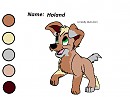 Reference sheet, Holand