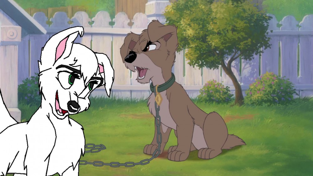 Scamp, meet Levi