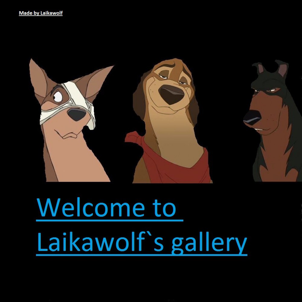 My gallery header